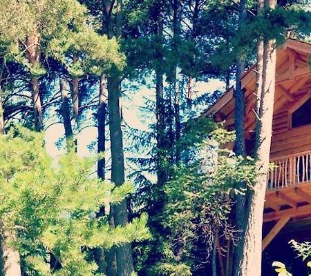 Les Cabanes Des Pins Sylvestres Saint-Martin-Vésubie Kültér fotó
