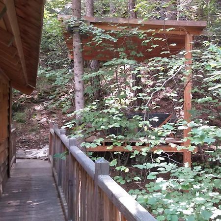 Les Cabanes Des Pins Sylvestres Saint-Martin-Vésubie Kültér fotó