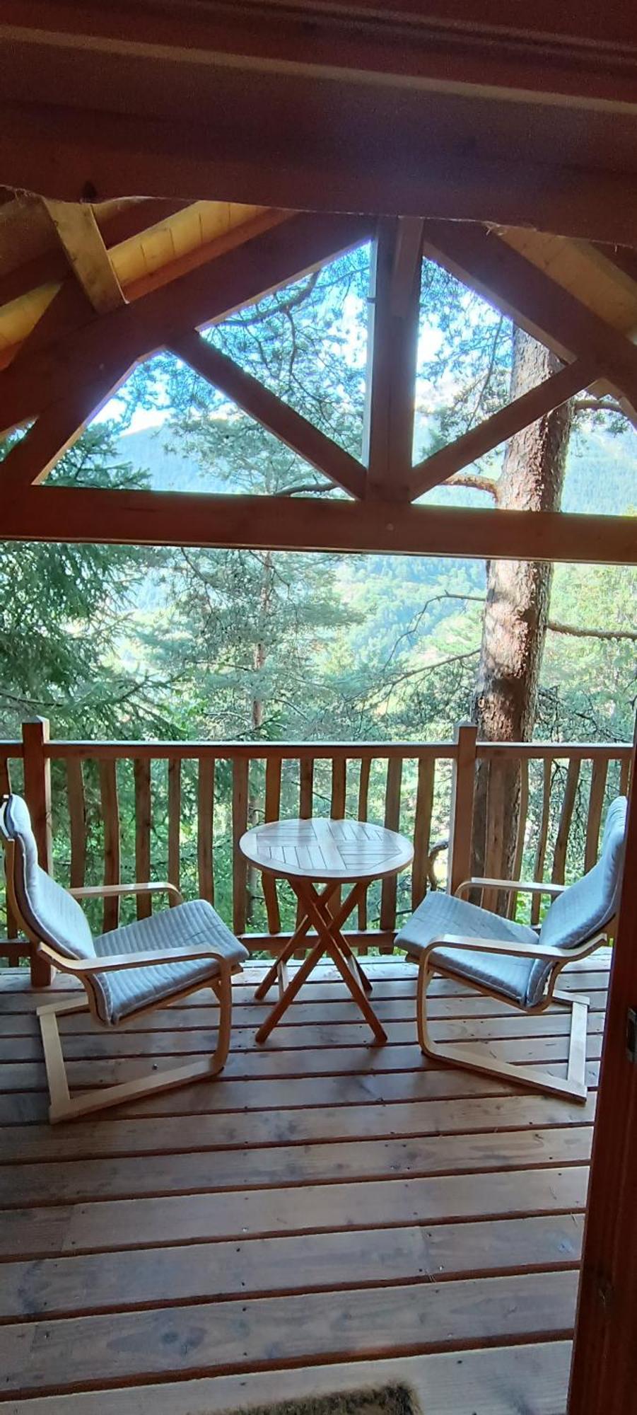 Les Cabanes Des Pins Sylvestres Saint-Martin-Vésubie Kültér fotó