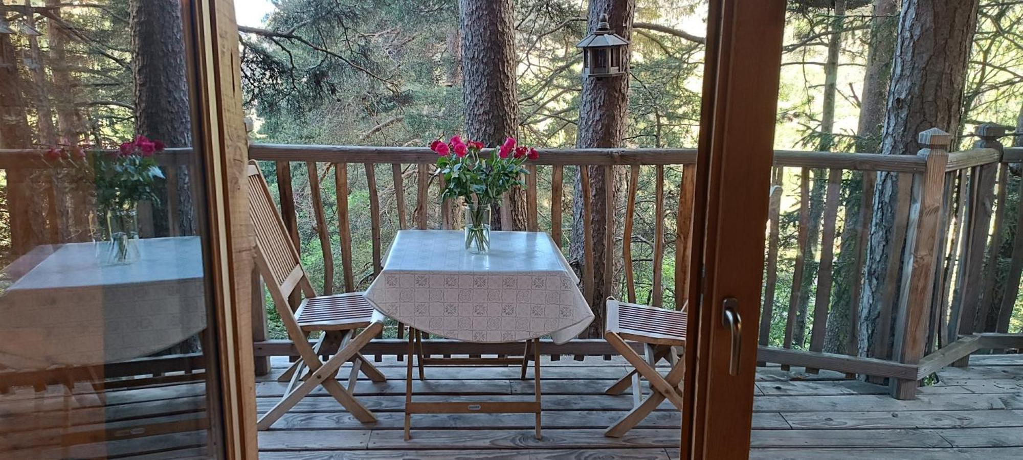 Les Cabanes Des Pins Sylvestres Saint-Martin-Vésubie Kültér fotó