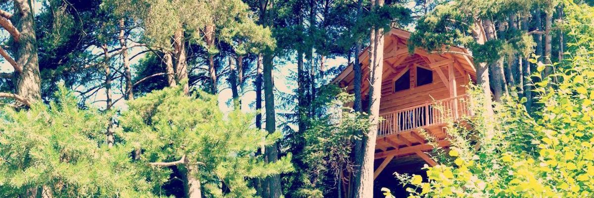 Les Cabanes Des Pins Sylvestres Saint-Martin-Vésubie Kültér fotó