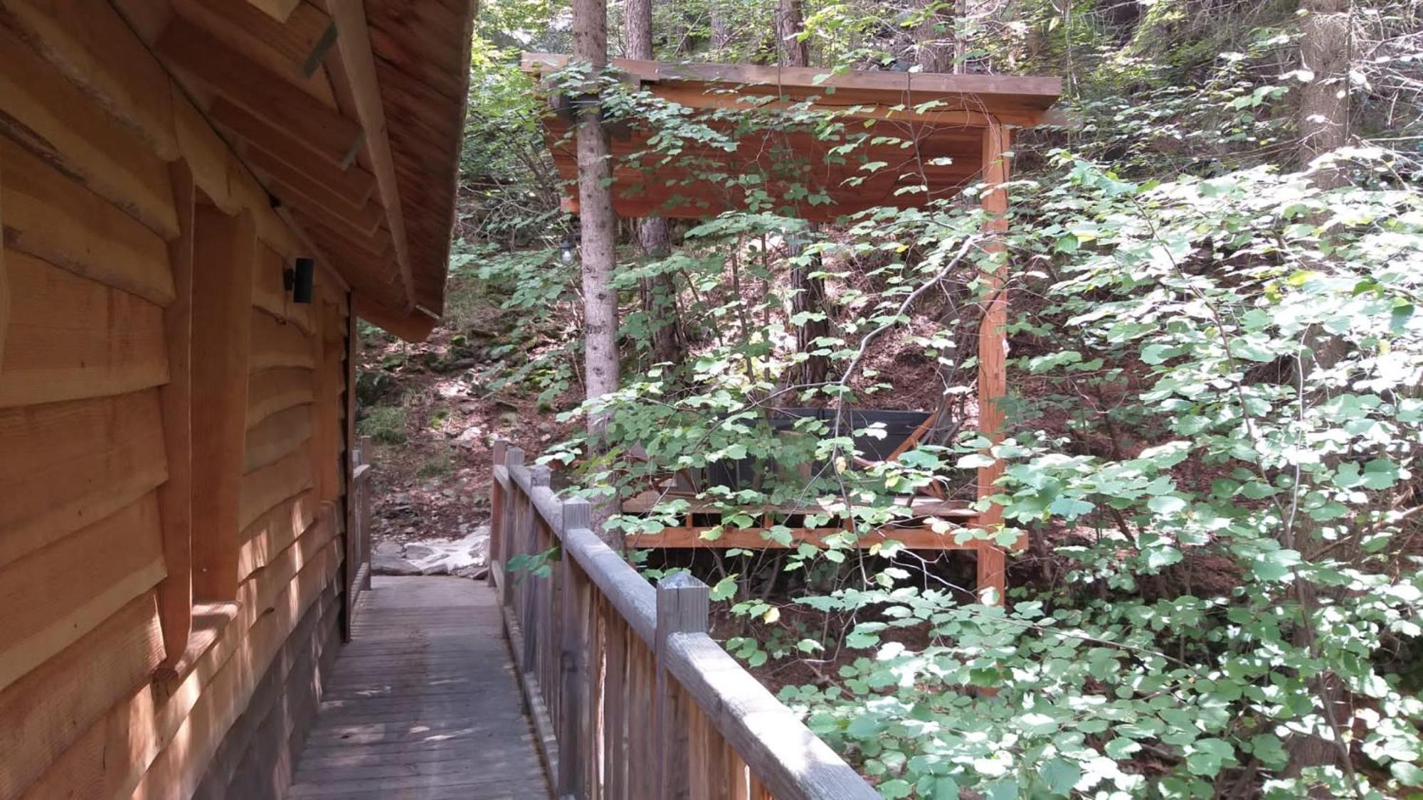 Les Cabanes Des Pins Sylvestres Saint-Martin-Vésubie Kültér fotó